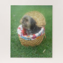 Buscar yorkies puzzles Amante del perro