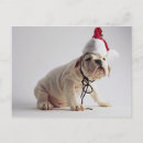 Buscar aduana tarjetas Canino