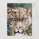 Buscar jungle postales Tropical