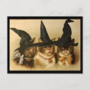 Buscar cats postales Halloween