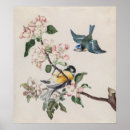 Buscar tetas posters Azul