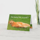 Buscar pollo tarjetas General y unisex
