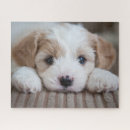 Buscar animales puzzles Lindo animal bebé