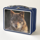 Buscar colibrí almacenaje alimentos Naturaleza