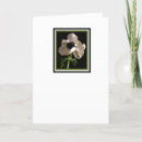 Buscar en memoriam tarjetas Memorial