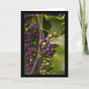 Buscar uvas tarjetas Vid