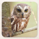 Buscar tronco posavasos Rama