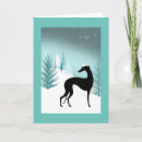 Buscar levriero Greyhound