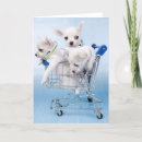 Buscar hola perritos tarjetas Animales