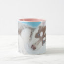 Buscar husky siberiano tazas Cachorro
