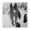 Buscar pinturas del caballo azulejos Nieve