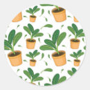Buscar plantas de la pegatinas Naturaleza