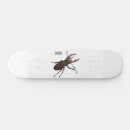 Buscar escarabajos tablas de skate Para todos