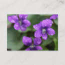 Buscar mojado tarjetas de visita Flor