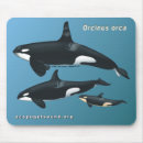 Buscar orca alfombrillas de raton Delfín