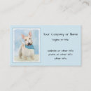 Buscar escocés de trigo Scottish terrier
