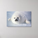 Buscar arpa arte Sello de arpa