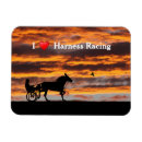 Buscar carrera de caballos imanes Deporte