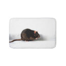 Buscar rat casa hogar Negro