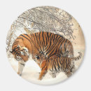 Buscar tigre imanes Naranja