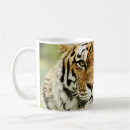Buscar cabeza tigre tazas 1 ª cabeza