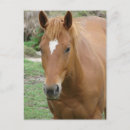 Buscar scotch postales Angelandspot