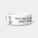 Buscar amigo mascotas Gatos