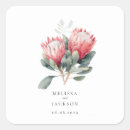 Buscar protea pegatinas Acuarela