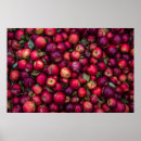 Buscar manzanas rojas posters Naturaleza