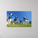 Buscar pasto lienzos Horizontal