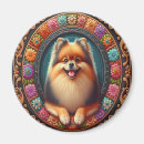 Buscar pom imanes Cachorro