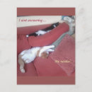 Buscar perezoso postales Gatos