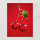 Buscar casero rojo fotografía Frescura
