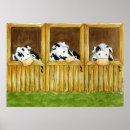 Buscar corral posters Vacas