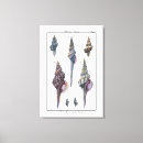 Buscar denis posters Pintura de conchas