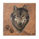 Buscar lobo azulejos Naturaleza