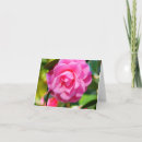 Buscar camelia tarjetas Fotografía