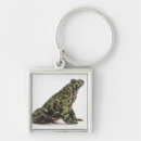 Buscar sapo llaveros Naturaleza