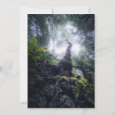 Buscar musgo tarjetas Selva tropical