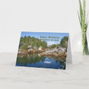 Buscar swan lake tarjetas Lago