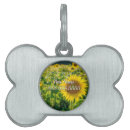 Buscar girasoles mascotas Naturaleza