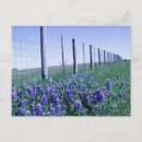 Buscar transatlántico postales Azul