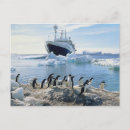 Buscar grupo de animales postales Fauna animal