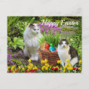 Buscar gato de pascua postales Lindo