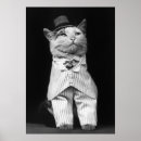 Buscar imágenes de gatos posters Fotografías antiguas