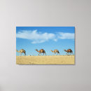 Buscar camello arte Animales