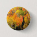 Buscar valle chapas Naturaleza
