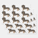 Buscar jabalí papel de regalo Dachshund