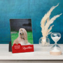 Buscar raza fotografía Perro