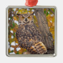 Buscar pájaro grande adornos Búho de cuerno grande